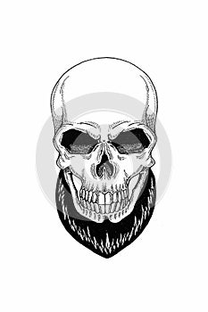 Monochrome illustration barbershop of skull with beard, mustache, hipster haircut and on white background, cartoon