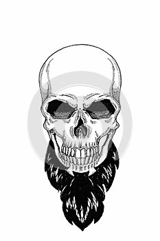 Monochrome illustration barbershop of skull with beard, mustache, hipster haircut and on white background, cartoon