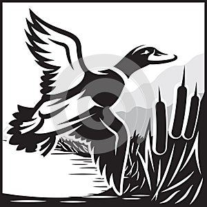 Monochrome illustration with flying wild duck over the water