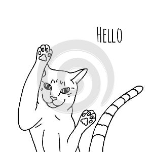 Monochrome Illustration of funny cat and text Hello.