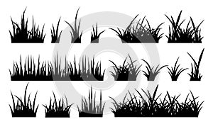 Monochrome illustration of grass. Vector silhouettes