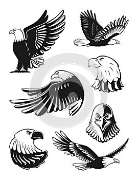 Monochrome illustrations set of eagles. Vector elements for logo, badges or labels design