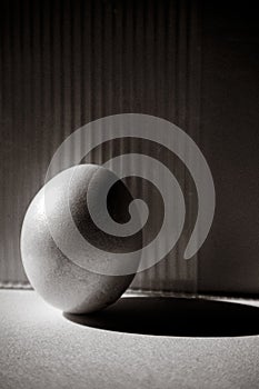 A monochrome image features a single egg with dramatic lighting, highlighting its texture and shadow. The minimalist