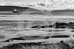 Monochrome image of freighters by Pender Islands