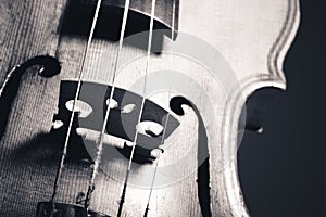 Monochrome image of hand crafted violin