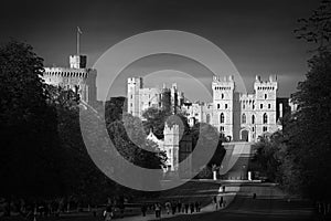 Monochrome image of the landscape Long Walk of Windsor Castle park