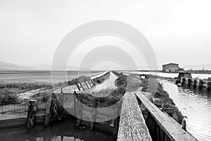 Monochrome image of old saltpan house in Natural Park Secovlje