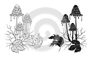 Monochrome ink mushrooms on white background