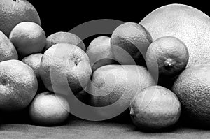 Monochrome isolated orange and green color groups citruses fruits on black background. Oranges, tangerines, limes, pummelo,