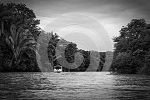 Monochrome landscape of the Tempisque River, Costa Rica photo