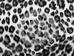 Monochrome leopard Print