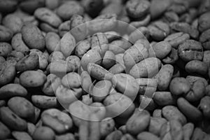 Monochrome Lintong Coffee Beans Pectin Layer Cracked While Drying