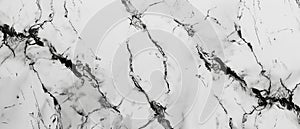 Monochrome Marble Texture Background