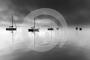 Monochrome Misty Morning in the Harbour