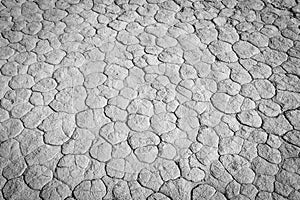 Monochrome mud texture of drying prism desiccation cracks in soil.