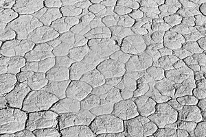 Monochrome mud texture of drying prism desiccation cracks in soil. photo