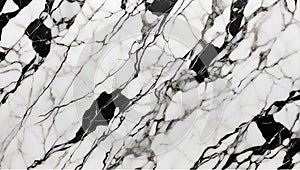 Monochrome Opulence: Panda White Marble\'s Bold Statement. AI Generate