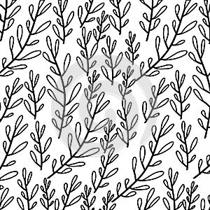 Monochrome pattern of branches with ovoid leaf