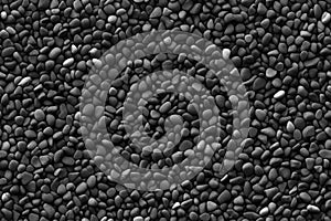 Monochrome Pebble Mosaic