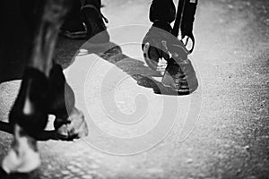 The monochrome photo depicts a grey horse striding along an asphalt road