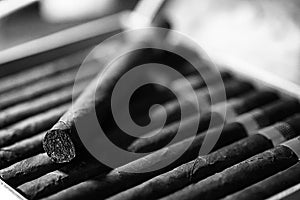 Monochrome photo of large wooden box of cigars handmade Cuban