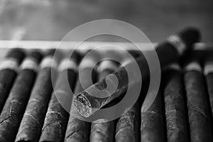 Monochrome photo of large wooden box of cigars handmade Cuban