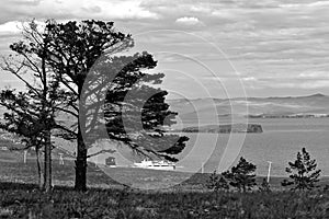 Monochrome photo. Lonely tree and mountain landscape. Magic Lake Baikal. Picturesq