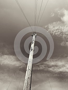 Monochrome picture of a communications telegraph pole