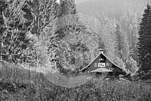 Monochrome picture of old wooden ohuse in forest