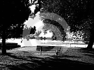 monochrome picture of a park bench by a lake