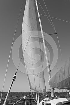 Monochrome picture of sailing yacht catches the wind