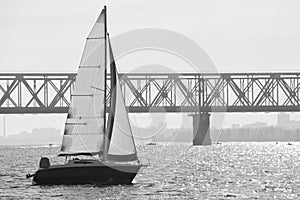 Monochrome picture of sailing yacht catching the wind against tr