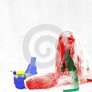 Monochrome purebred dog with beer bottle and cocktail glass against light textured background. Contemporary art collage.