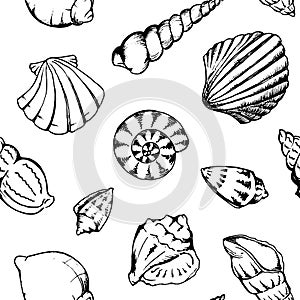 Monochrome sea shells vector seamless pattern texture background