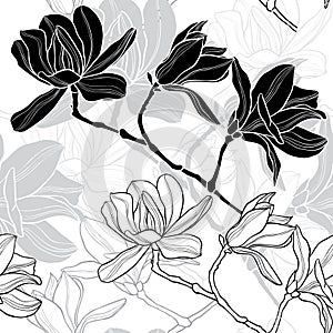 Monochrome seamless background with magnolia.