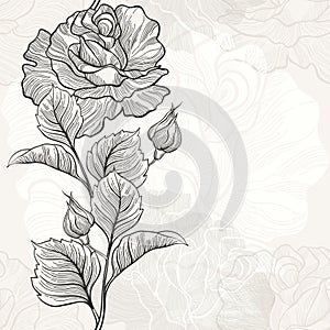 Monochrome seamless background with roses.