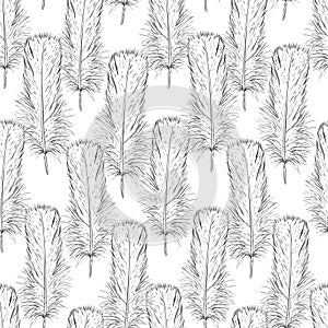 Monochrome seamless pattern of bird feathers