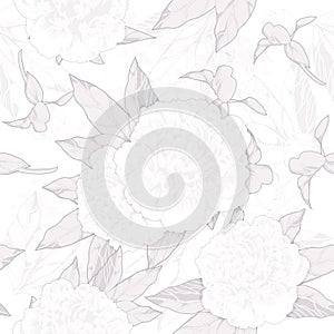 Monochrome seamless pattern white peonies and buds on a white background.vector illustration