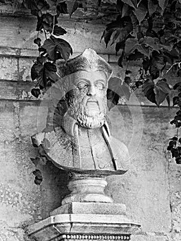 Monochrome shot, Head and shoulders of statue with ivy, Arles, France