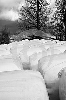 Monochrome shot of the round balls covered with white plastics - plasticulture