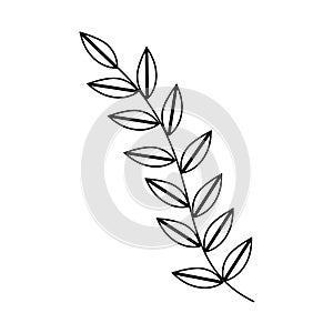 Monochrome silhouette with oval leaves with ramifications