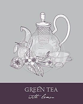 Monochrome sketch of teapot with strainer, cup, green tea leaves, flowers and juicy lemon fruit on gray background