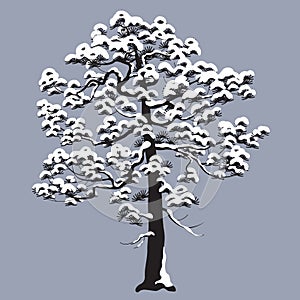 Monochrome Snow Covered Pine Tree Isolated on Gray