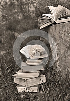 Monochrome still life with pile of books