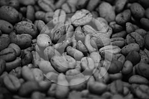 Monochrome Sundrying of Lintong Coffee Beans