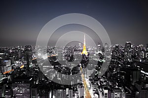 Monochrome Tokyo night skyline with highlights