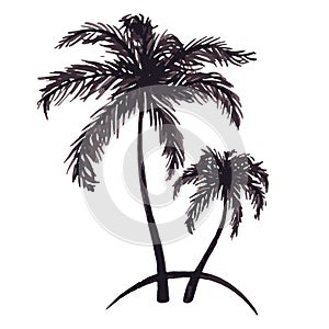 Monochrome two tropical palm tree sea ocean beach hand drawn sketch vector
