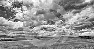 A monochrome view over stubbly grain fields with a cloudy sky and rolling hills in South Africa