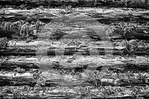 Monochrome Wall of Wood Logs