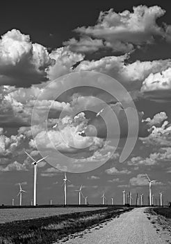 Monochrome wind turbine farm west texas lubbock